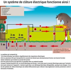Fermeture d'enclos à ressort*Kerbl New