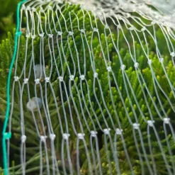 Filet de Protection Anti-Oiseaux 4x5m - Maille 15x15mm en Nylon Résistant* Online