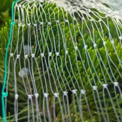 Filet de Protection Anti-Oiseaux 8x10m - Maille 15x15mm en Nylon Résistant* New