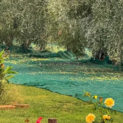 Filet de Récolte 6x6m - Maille 5x5mm en Polyéthylène Haute Densité* Best