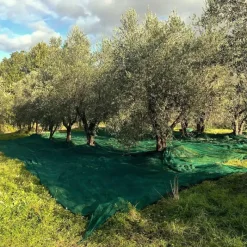 Filet de Récolte 6x6m - Maille 5x5mm en Polyéthylène Haute Densité* Best