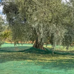 Filet de récolte 4x4m - Maille 5x5mm en polyéthylène haute densité* Online