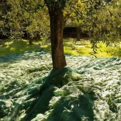 Filet de récolte 8x8m à maille fine 5x5mm - Polyéthylène haute densité* Sale