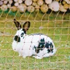 Filet électrifiable pour lapins 25m H0,65m simple pointe*Kerbl Online