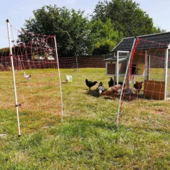 Filet volaille orange H110 cm Longueur 25m avec porte* Hot