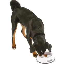 Gamelle plastique Anti glouton* Sale