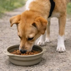 Gamelle rétractable 0,35L pour chien chat voyage pliable* Clearance