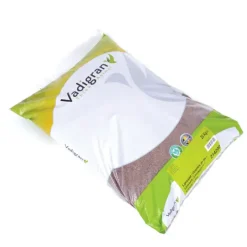 Graines de lin VADIGRAN dépoussiérées 20kg* Online
