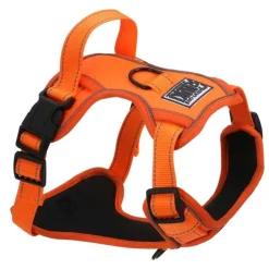 Harnais réfléchissant orange sécurité haute visibilité*Mon ami Luki Sale