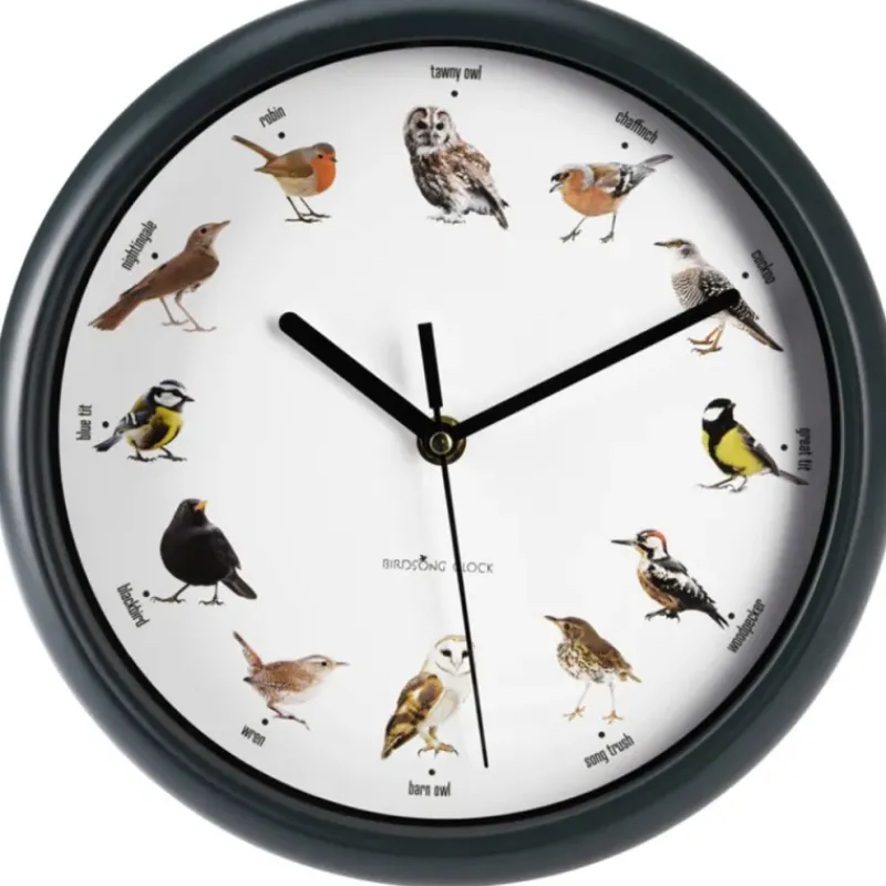 Horloge murale sons oiseaux* Clearance
