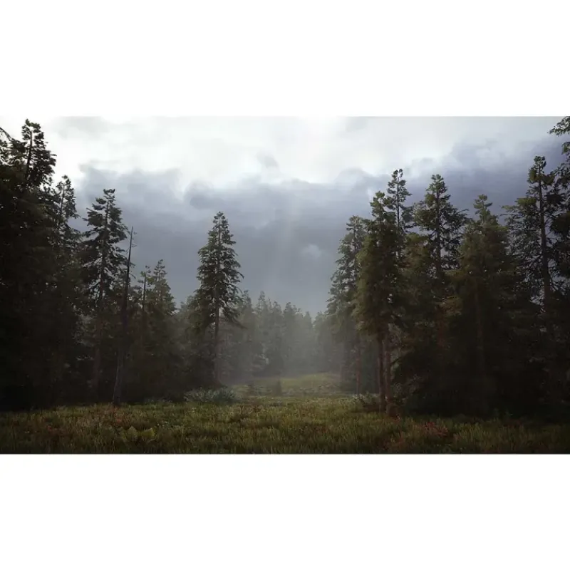 Hunting Simulator 2 pour Xbox One* Sale