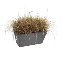 Jardinière mobile 70 cm ® - Gris - Réservoir intégré*Elho Hot