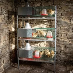 Kit complet 3 cages éleveuses poussins ou cailles* Outlet