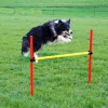 Kit complet d'agilité pour chien Agility en 3 parties*Kerbl Sale