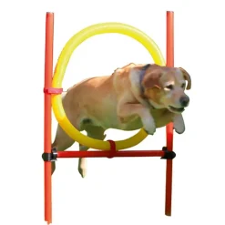 Kit complet d'agilité pour chien Agility en 3 parties*Kerbl Sale