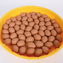 Kit de démarrage Start - Couveuse avec accessoires*