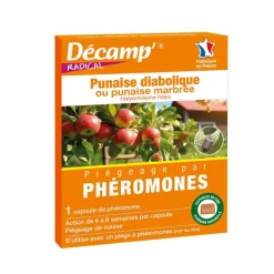 Kit Piège à Phéromones contre les Punaises Diaboliques - Décamp* New