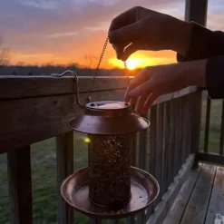 Lanterne solaire et mangeoire Ø 19 x 20 cm* Hot