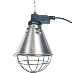 Éleveuse électrique économique 220 V*