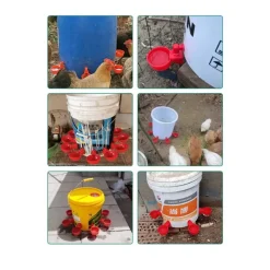 Lot de 5 abreuvoirs bol pour bidon en plastique rouge pour volailles* Clearance