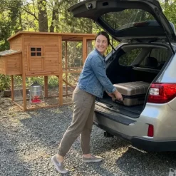 Lot de 10 Abreuvoirs poules et volailles métal galvanisé 30 L sur pieds*