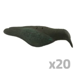 Lot de 20 Appelants Corbeau coquille* Clearance