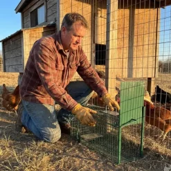 Lot de 10 Boîtes à fauves 1 entrée pour rats 22 x 24 x 61 cm* Online