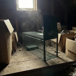 Lot de 10 Boîtes à fauves 1 entrée pour rats 22 x 24 x 61 cm* Online