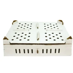 Lot de 25 boîtes transport poussins carton empilables 46 X 60 X 12 cm*Cimuka Hot