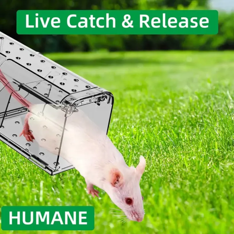 Lot de 2 cages à souris en plastique résistantes avec aération*