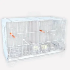 Lot de 3 cages d'élevage oiseaux équipées et superposables avec clips* Outlet