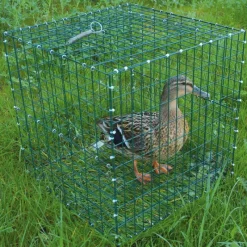 Lot de 10 Cages pour chanteuse pliable 30x30x30cm* Best