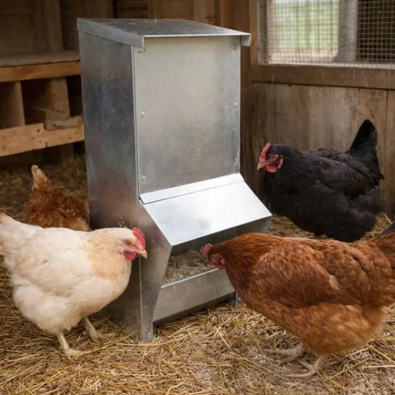 Lot de 5 Mangeoires à trémie métal galvanisée 7kg* Hot