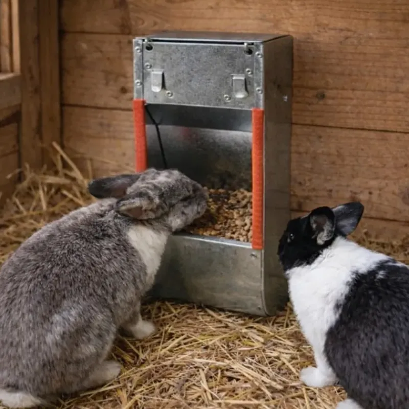 Lot de 10 Mangeoires trémie acier galva 1 compartiment* Online