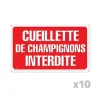 Lot de 10 Panneaux CUEILLETTE CHAMPIGNONS Akilux 26x20cm*