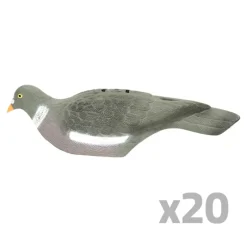 Lot de 20 Pigeons ramier en coquille léger* Discount