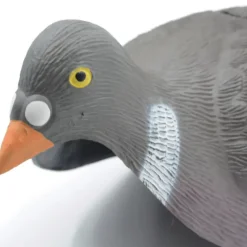 Lot de 20 Pigeons ramier en coquille léger* Discount