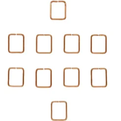 Lot de 10 tentes pour piège à taupe Putange* New