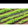 Lot de 4 Tunnels de protection pour potager maillé - 3 m* Discount
