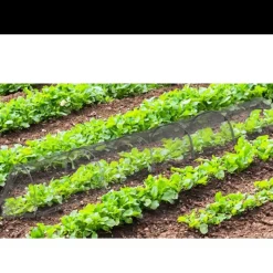Lot de 4 Tunnels de protection pour potager maillé - 3 m* Discount