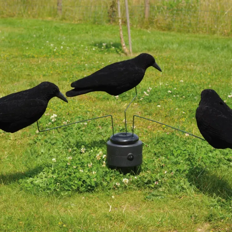 Manège à Corbeaux + 3 blettes de corbeaux floqués* Sale