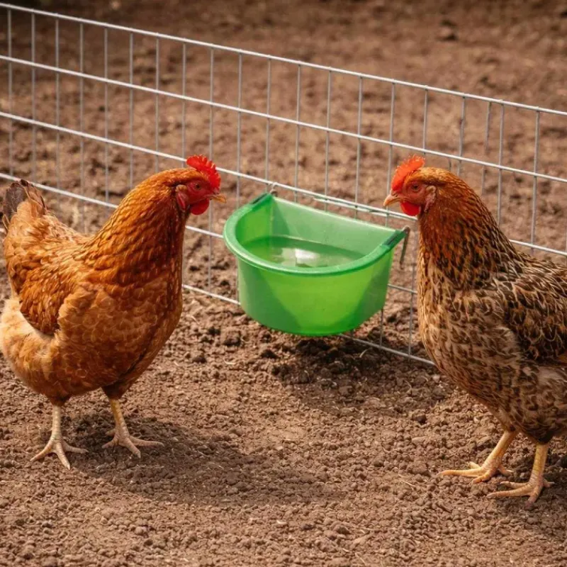 Mangeoire - abreuvoir à crochets plastique 300 ml*Olba New