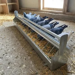 Mangeoire à rouleau pour pigeon 1m* Best