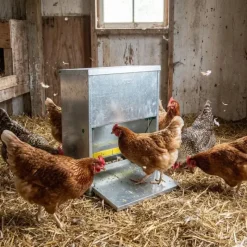 Mangeoire à trémie anti-nuisible tôle galvanisée 23 kg*River Systems Sale