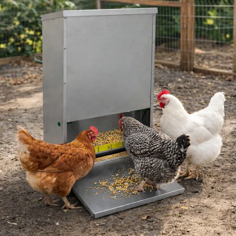 Mangeoire à trémie anti-nuisible tôle galvanisée 23 kg*River Systems Sale