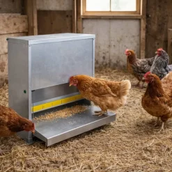 Mangeoire à trémie anti-nuisible tôle galvanisée 14 kg*River Systems New