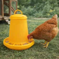 Mangeoire à trémie cylindrique plastique avec poignée - 3,5 kg - Jaune*Novital Online