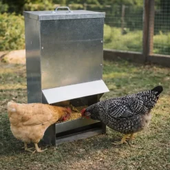 Mangeoire à trémie galvanisée 30 Kg - 31 x 22 x 59 cm*GAUN Best