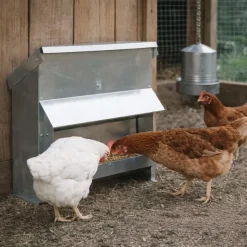 Mangeoire à trémie galvanisée 20Kg 54 x 27 x 51 cm* Discount