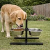 Mangeoire chien sur pied réglable + 2 gamelles Ø de 19 cm*